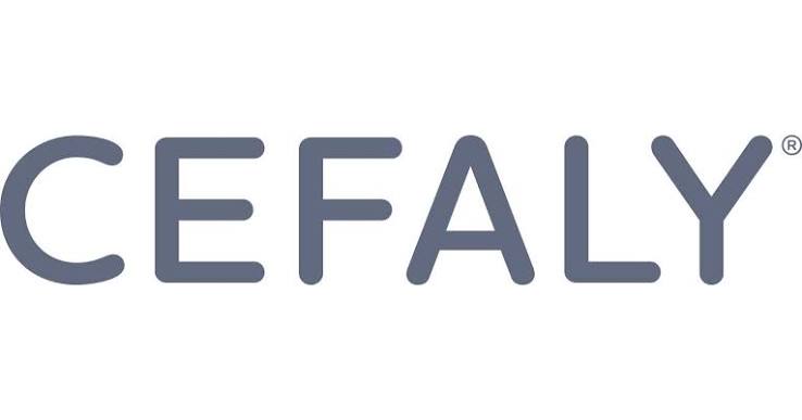 Store Brand Image
